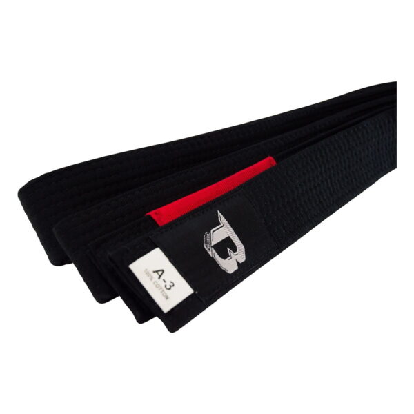 Ceinture JJB